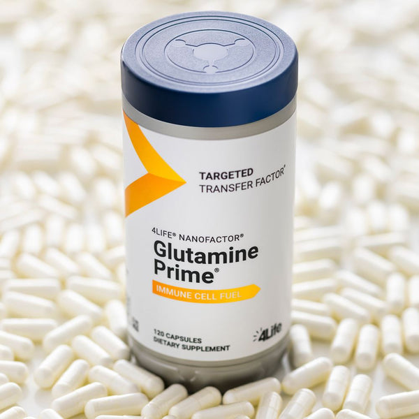glutamine prime glutathione Powder L-Glutamine 500mg, 100 ct |
